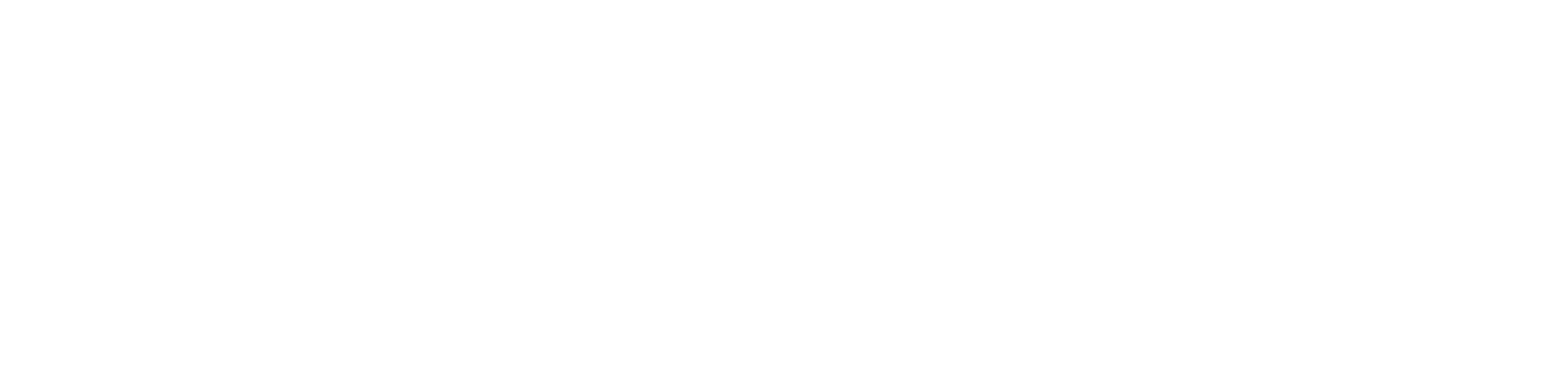 NET.COM